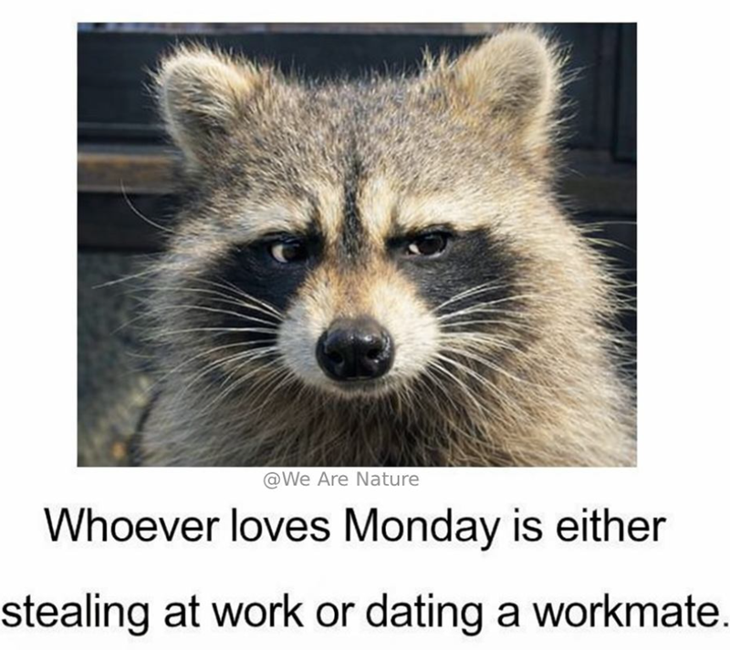@We Are Nature Whoever loves Monday is either stealing at work or dating a workmate.