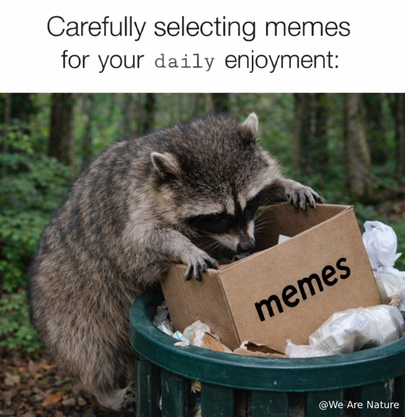 Carefully selecting memes. for your daily enjoyment: memes @We Are Nature