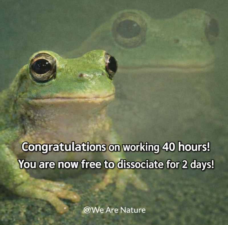 Congratulations on working 40 hours! You are now free to dissociate for 2 days! @We Are Nature