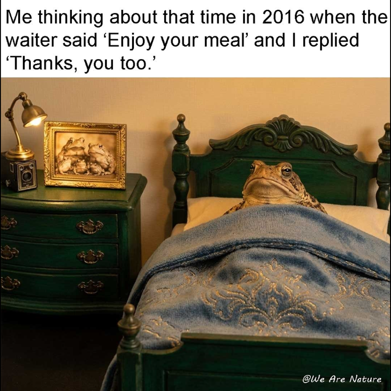 Me thinking about that time in 2016 when the waiter said 'Enjoy your meal' and I replied 'Thanks, you too.' @We Are Nature