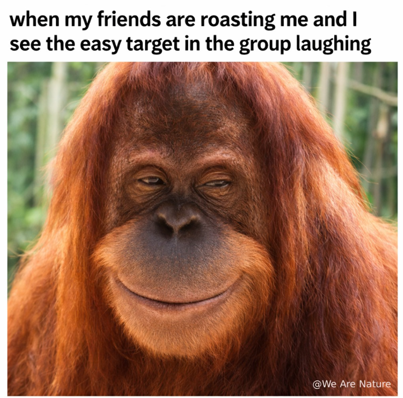 when my friends are roasting me and I see the easy target in the group laughing @We Are Nature