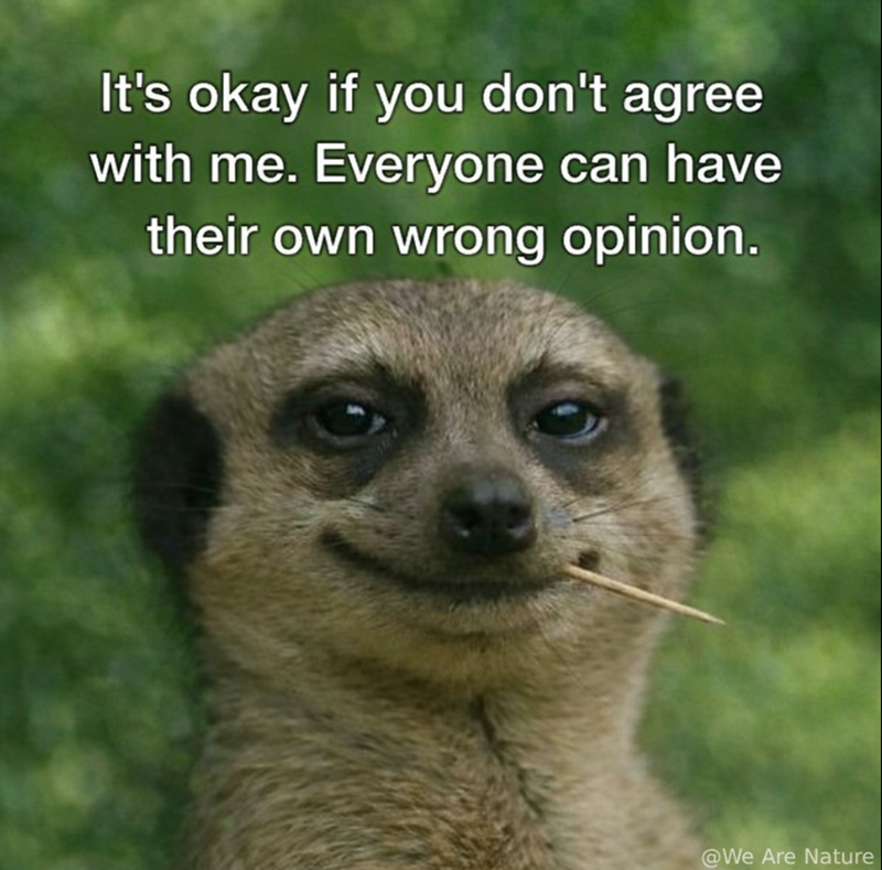 It's okay if you don't agree with me. Everyone can have their own wrong opinion. @We Are Nature