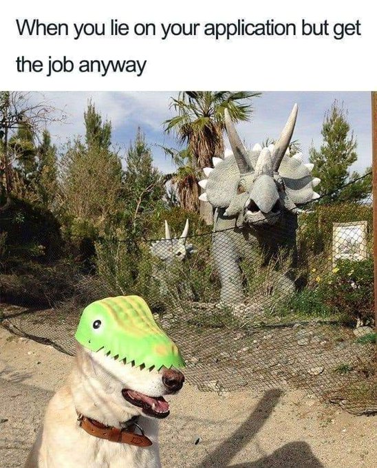 When you lie on your application but get the job anyway