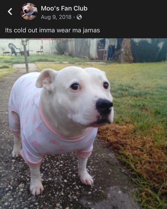 Moo's Fan Club Aug 9, 2018 Its cold out imma wear ma jamas