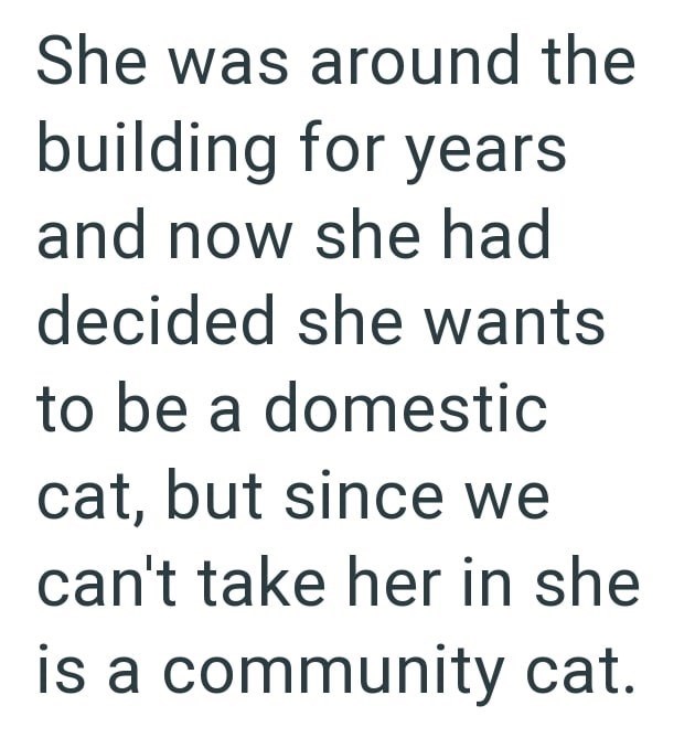 She was around the building for years and now she had decided she wants to be a domestic cat, but since we can't take her in she is a community cat.