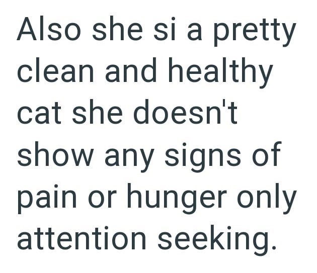 Also she si a pretty clean and healthy cat she doesn't show any signs of pain or hunger only attention seeking.