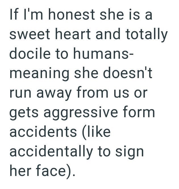 If I'm honest she is a sweet heart and totally docile to humans- meaning she doesn't run away from us or gets aggressive form accidents (like accidentally to sign her face).
