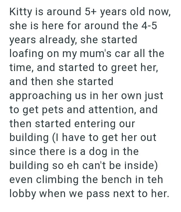 Kitty is around 5+ years old now, she is here for around the 4-5 years already, she started loafing on my mum's car all the time, and started to greet her, and then she started approaching us in her own just to get pets and attention, and then started entering our building (I have to get her out since there is a dog in the building so eh can't be inside) even climbing the bench in teh lobby when we pass next to her.