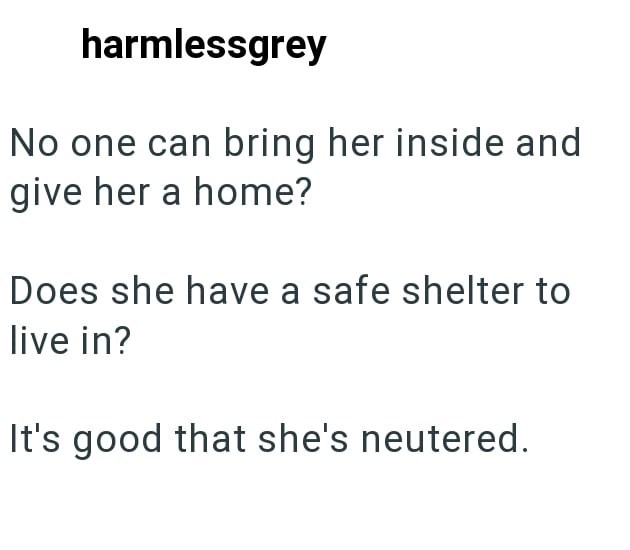 harmlessgrey No one can bring her inside and give her a home? Does she have a safe shelter to live in? It's good that she's neutered.
