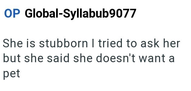 OP Global-Syllabub9077 She is stubborn I tried to ask her but she said she doesn't want a pet