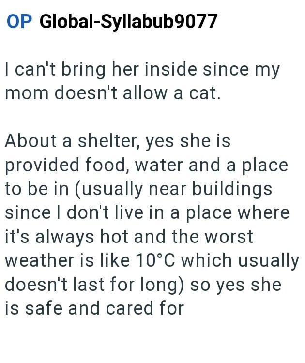 OP Global-Syllabub9077 I can't bring her inside since my mom doesn't allow a cat. About a shelter, yes she is provided food, water and a place to be in (usually near buildings since I don't live in a place where it's always hot and the worst weather is like 10°C which usually doesn't last for long) so yes she is safe and cared for