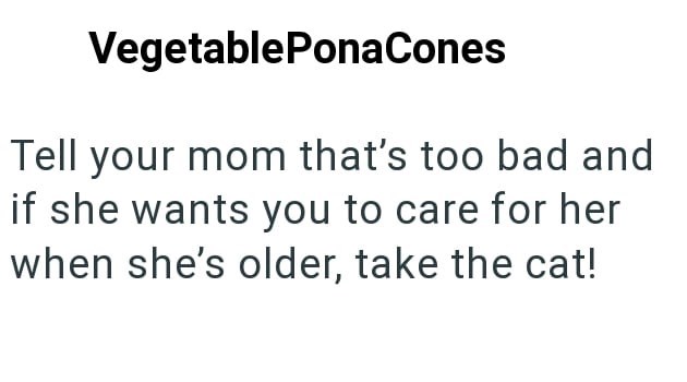VegetablePonaCones Tell your mom that's too bad and if she wants you to care for her when she's older, take the cat!