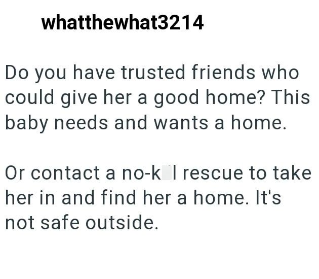 whatthewhat3214 Do you have trusted friends who could give her a good home? This baby needs and wants a home. Or contact a no-k I rescue to take her in and find her a home. It's not safe outside.