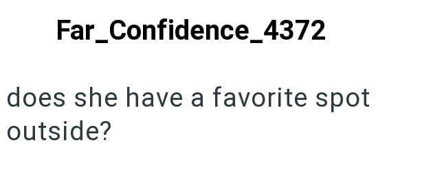 Far_Confidence_4372 does she have a favorite spot outside?