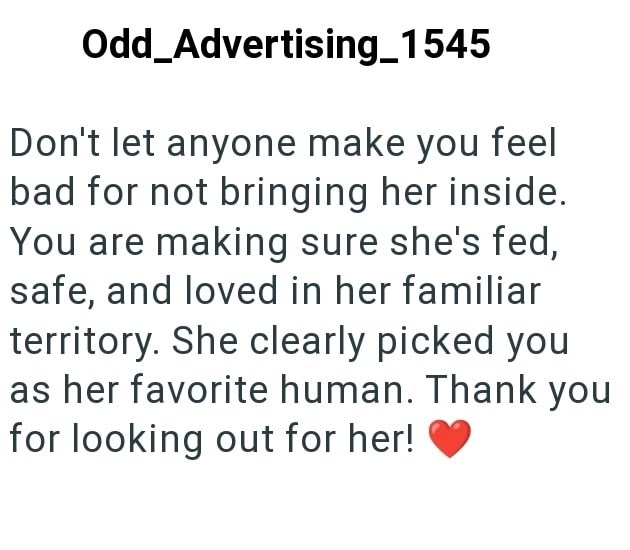 Odd_Advertising_1545 Don't let anyone make you feel bad for not bringing her inside. You are making sure she's fed, safe, and loved in her familiar territory. She clearly picked you as her favorite human. Thank you for looking out for her!