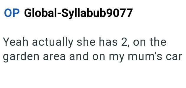 OP Global-Syllabub9077 Yeah actually she has 2, on the garden area and on my mum's car