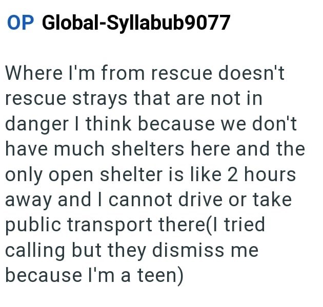 OP Global-Syllabub9077 Where I'm from rescue doesn't rescue strays that are not in danger I think because we don't have much shelters here and the only open shelter is like 2 hours away and I cannot drive or take public transport there(I tried calling but they dismiss me because I'm a teen)