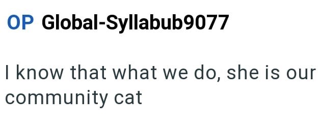 OP Global-Syllabub9077 I know that what we do, she is our community cat