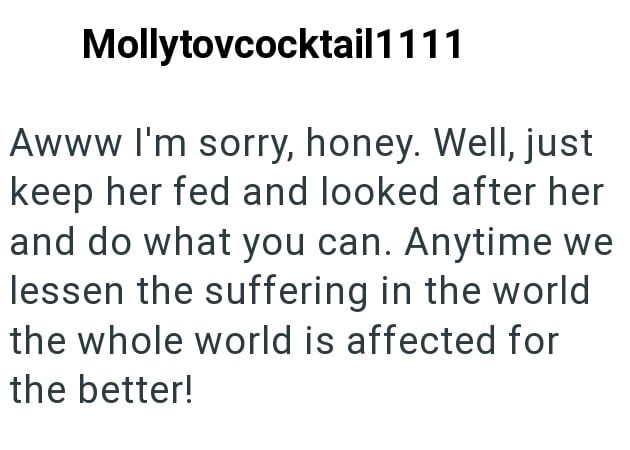 Mollytovcocktail1111 Awww I'm sorry, honey. Well, just keep her fed and looked after her and do what you can. Anytime we lessen the suffering in the world the whole world is affected for the better!