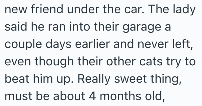 new friend under the car. The lady said he ran into their garage a couple days earlier and never left, even though their other cats try to beat him up. Really sweet thing, must be about 4 months old,
