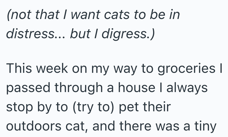 (not that I want cats to be in distress... but I digress.) This week on my way to groceries I passed through a house I always stop by to (try to) pet their outdoors cat, and there was a tiny