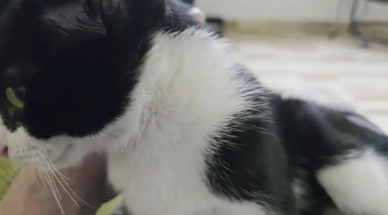 Cheezburger Image 10616847616