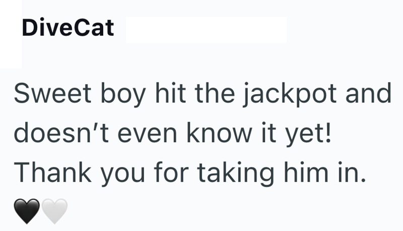 DiveCat Sweet boy hit the jackpot and doesn't even know it yet! Thank you for taking him in.