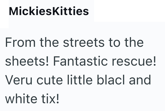 MickiesKitties From the streets to the sheets! Fantastic rescue! Veru cute little black and white tix!