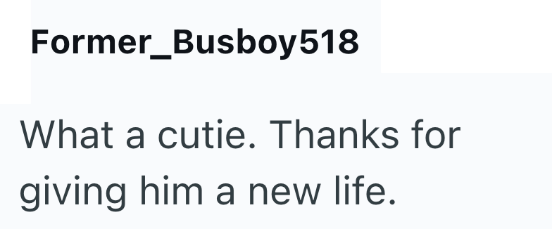Former Busboy 518 What a cutie. Thanks for giving him a new life.