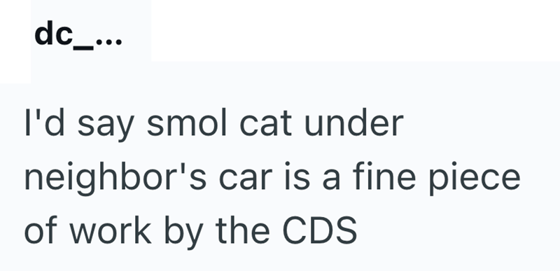 dc_... I'd say smol cat under neighbor's car is a fine piece of work by the CDS