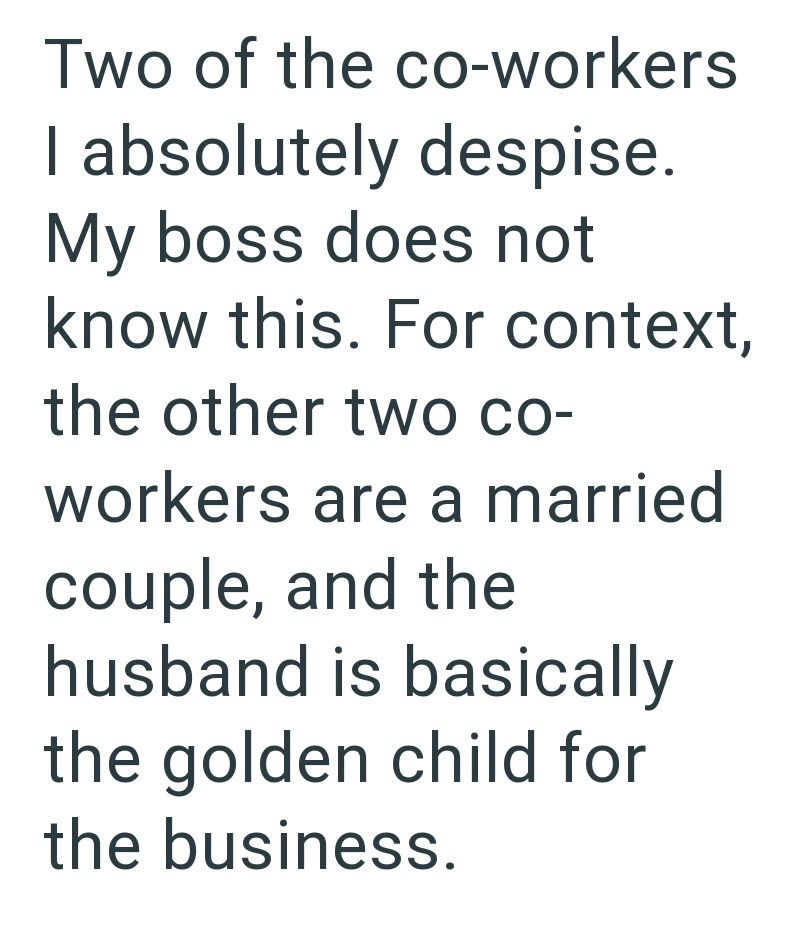 Two of the co-workers I absolutely despise. My boss does not know this. For context, the other two co- workers are a married couple, and the husband is basically the golden child for the business.