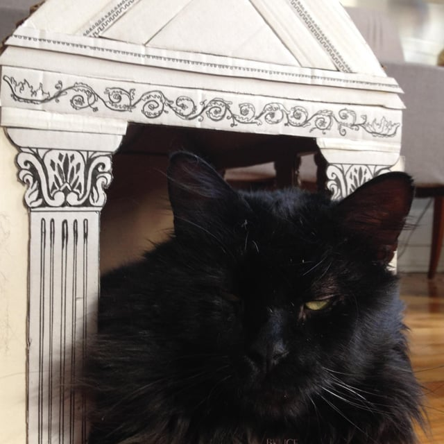 Cheezburger Image 10616870912