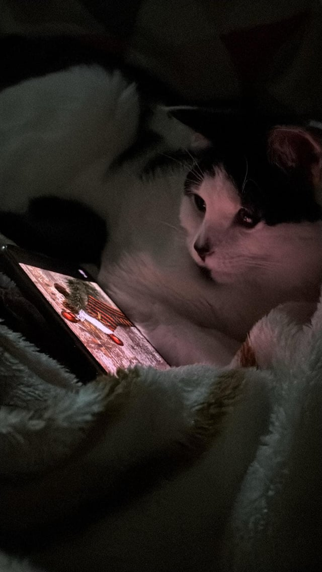 Cheezburger Image 10616871680