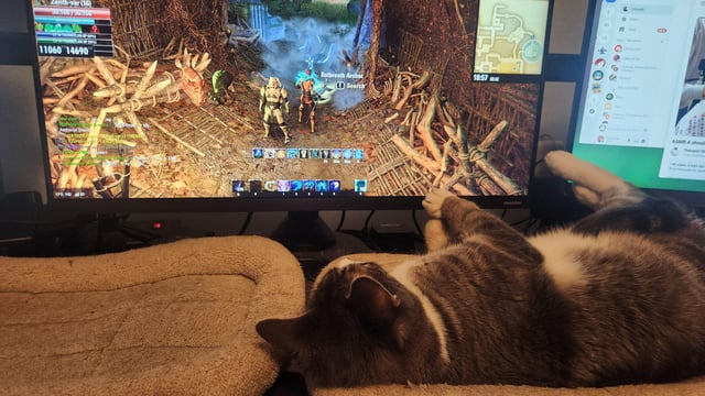 11060 14690 Sear 1857 +CO