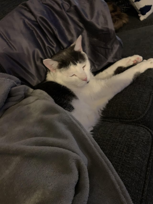 Cheezburger Image 10616875520