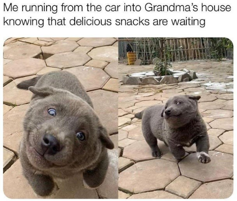 Me running from the car into Grandma's house knowing that delicious snacks are waiting