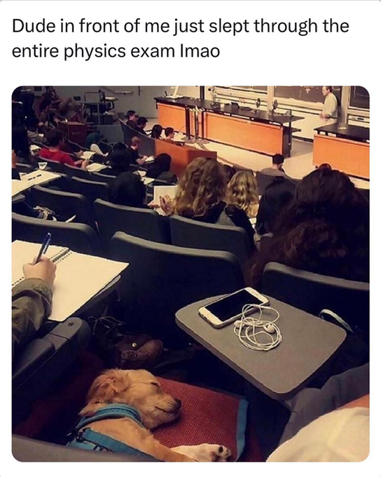 Dude in front of me just slept through the entire physics exam Imao