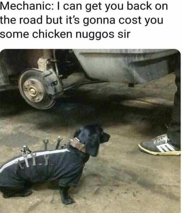 Mechanic: I can get you back on the road but it's gonna cost you some chicken nuggos sir