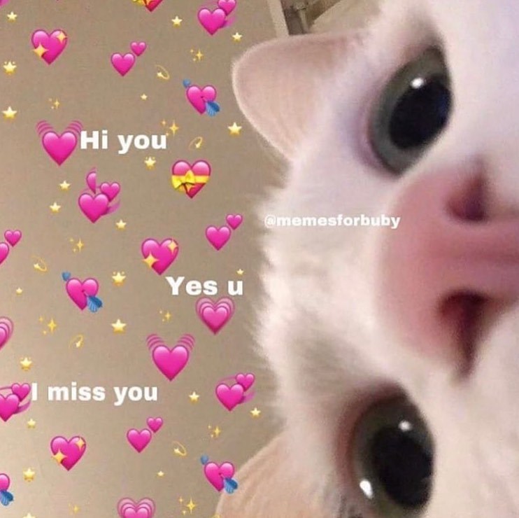 Hi you miss you Yes u @memesforbuby