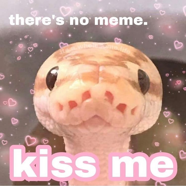 3 there's no meme. its a wholesome life '06 kiss me