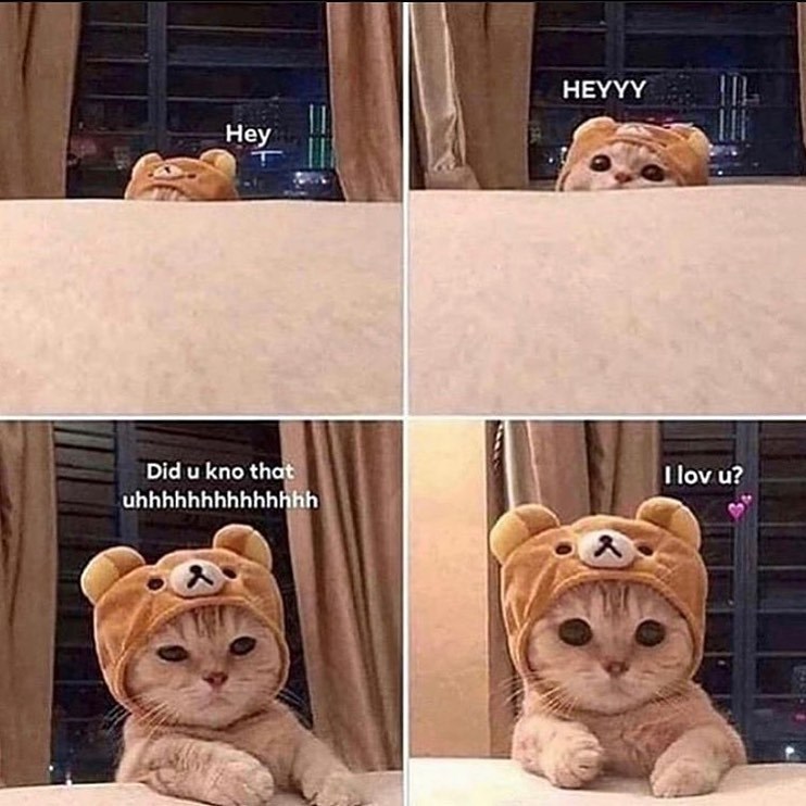 Hey HEYYY Did u kno that uhhhhhhhhhhhhhh I lov u?