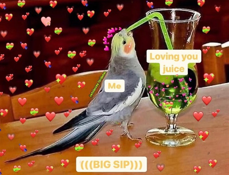 wholesome floridawan Me (((BIG SIP))) Loving you juice