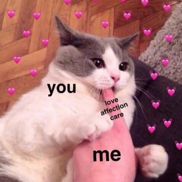 you love affection care me