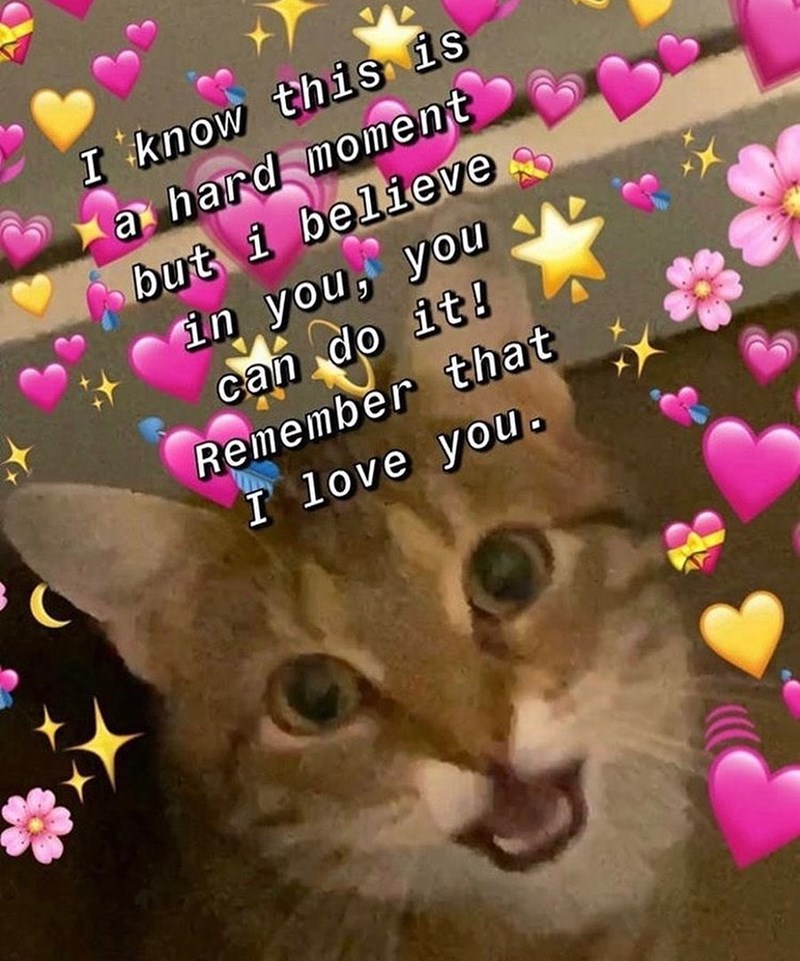 I know this is a hard moment but i believe in you, you can do it! Remember that I love you.