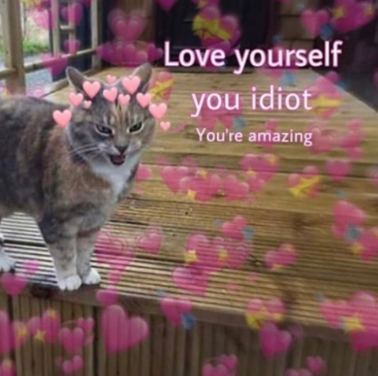 Love yourself you idiot You're amazing