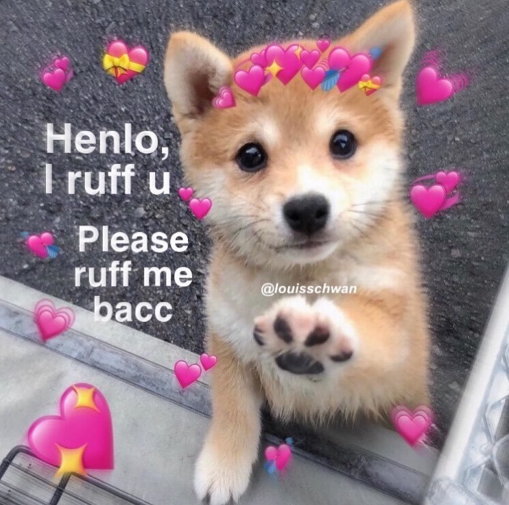 Henlo, 1 ruff u Please ruff me bacc @louisschwan