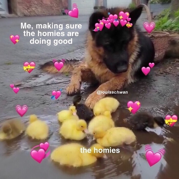 Me, making sure the homies are doing good @louisschwan the homies