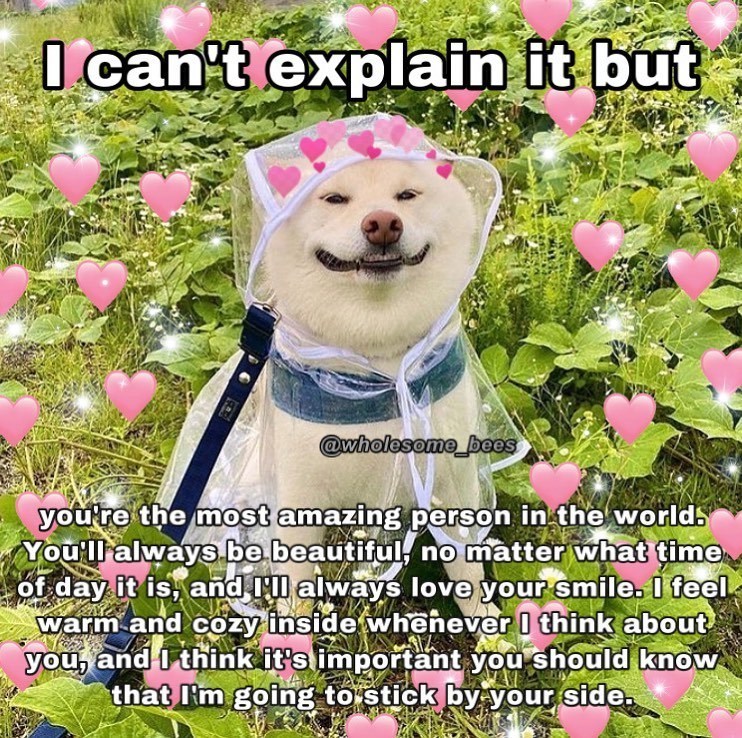 I can't explain it but @wholesome bees you're the most amazing person in the worlds You'll always be beautiful, no matter what time of day it is, and I'll always love your smile. I feel warm and cozy inside whenever I think about you, and I think it's important you should know that I'm going to stick by your side.