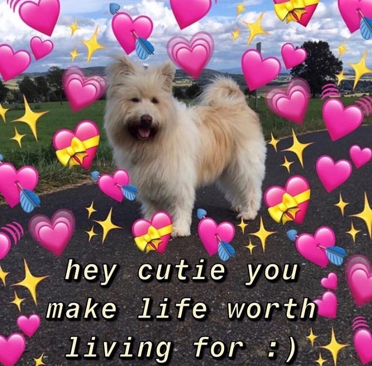 hey cutie you make life worth living for :)