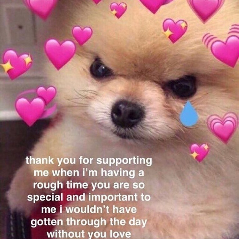 thank you for supporting me when i'm having a rough time you are so special and important to me i wouldn't have gotten through the day without you love